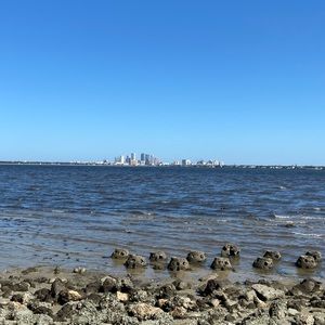 Meet your Posher, Forrest